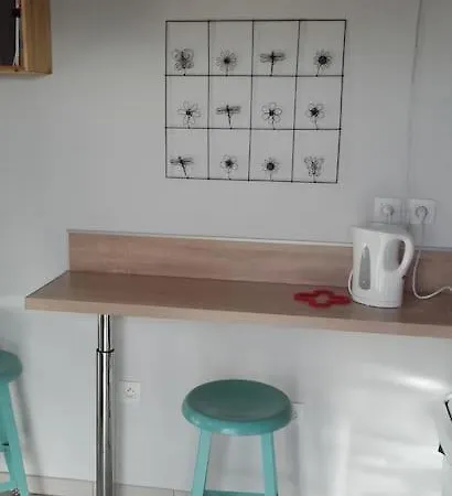 2 Pers, La Montagne En Ville, Avec Garage Apartment Oloron-Sainte-Marie